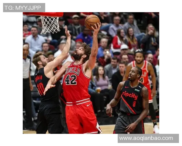 2013年公牛队与其他球队的精彩对决回顾与分析