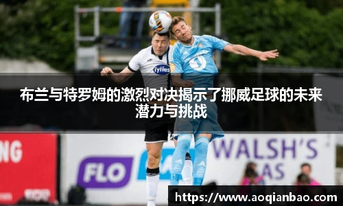 k1体育最新地址