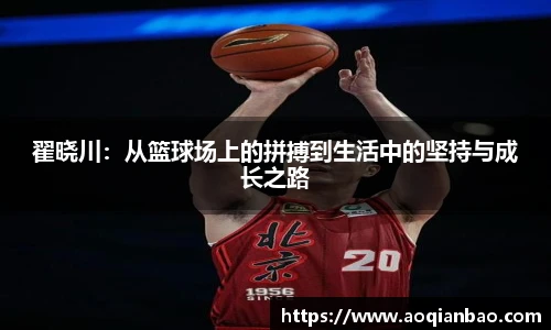 k1体育官网入口